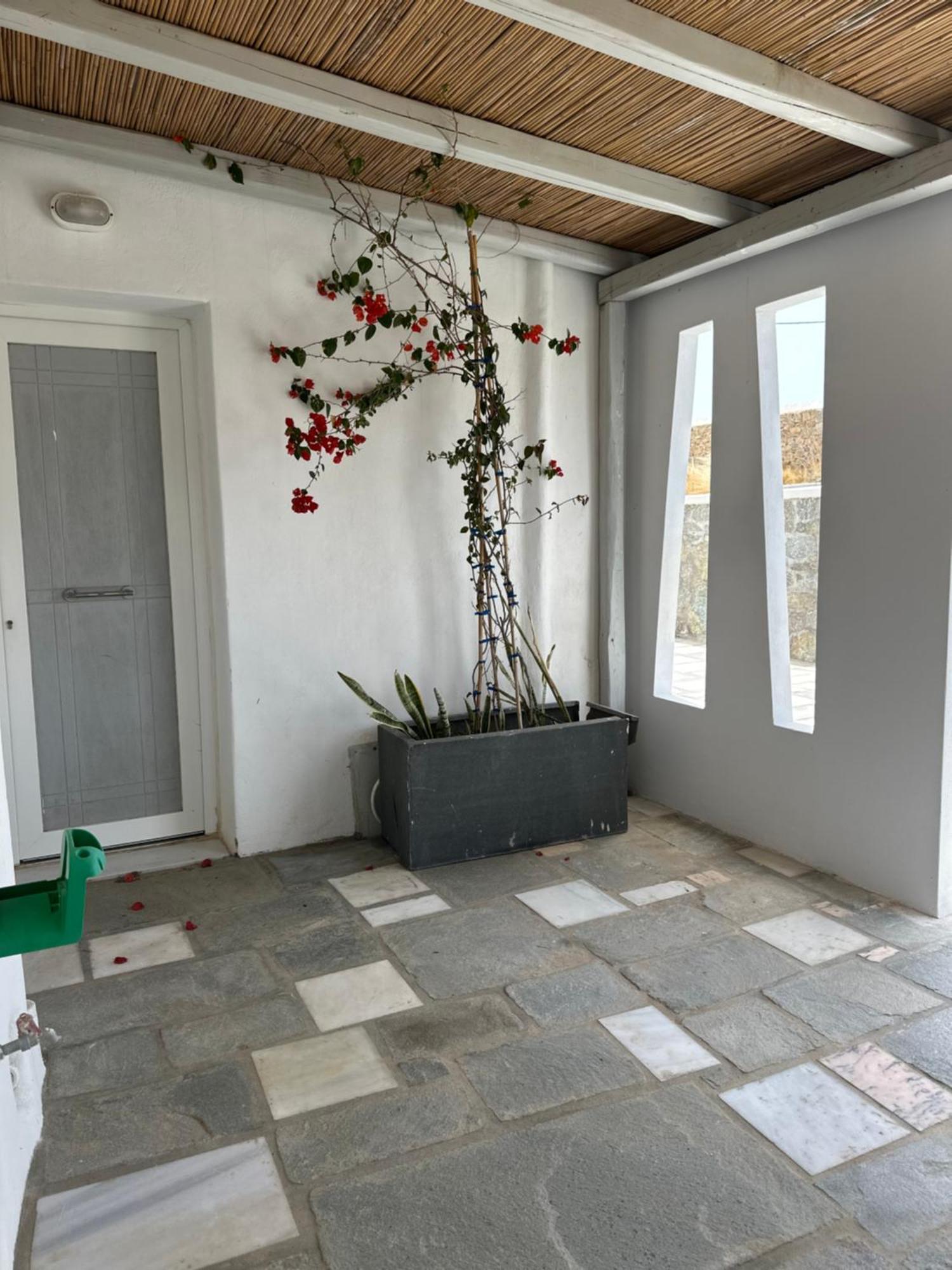 Ene'S Mykonos Daire Klouvas Dış mekan fotoğraf